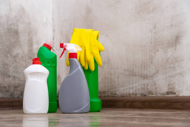 Mold Odor Removal Services in Stuarts Draft, VA